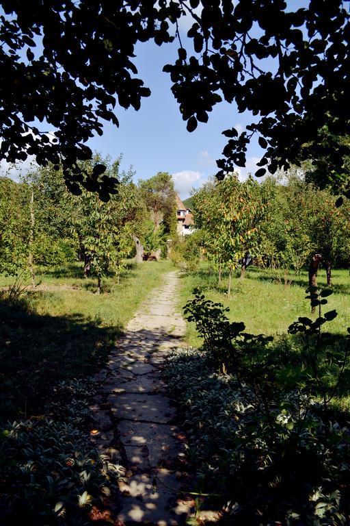 Villa Castelul Maria Banpotoc Εξωτερικό φωτογραφία