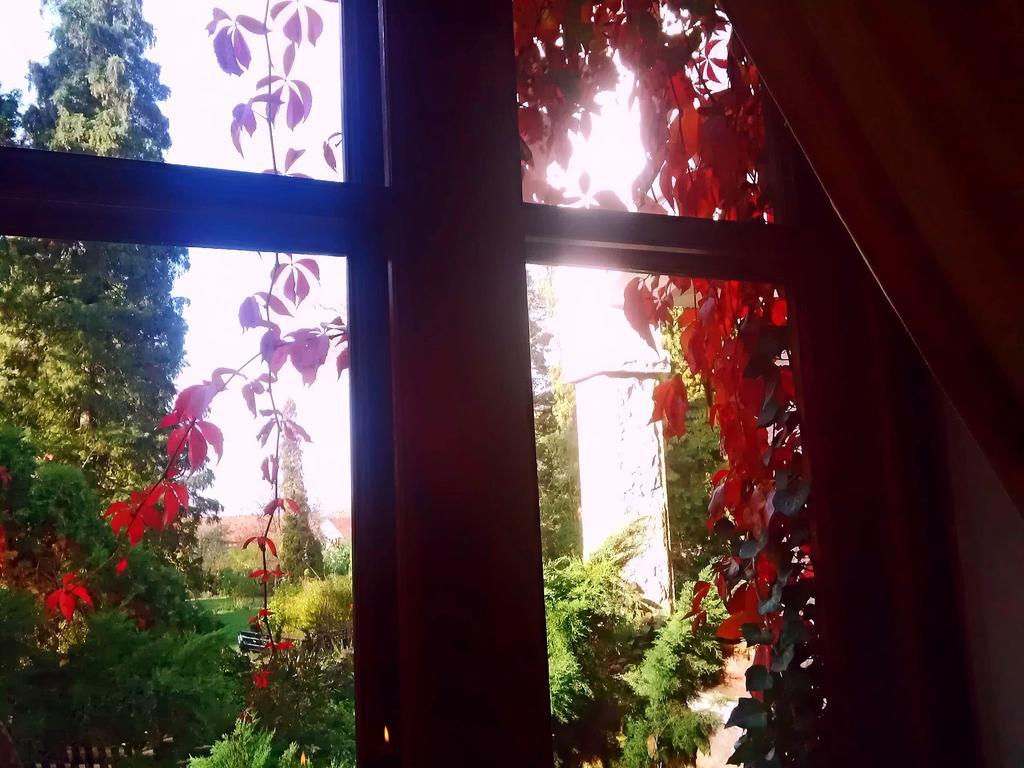 Villa Castelul Maria Banpotoc Εξωτερικό φωτογραφία