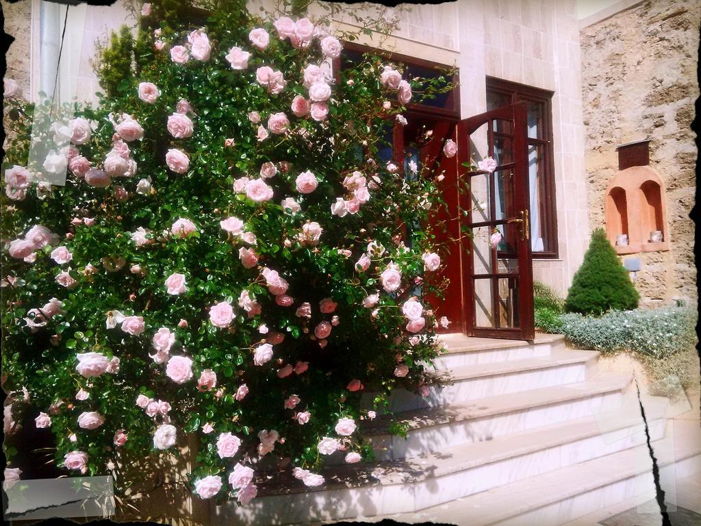 Villa Castelul Maria Banpotoc Εξωτερικό φωτογραφία