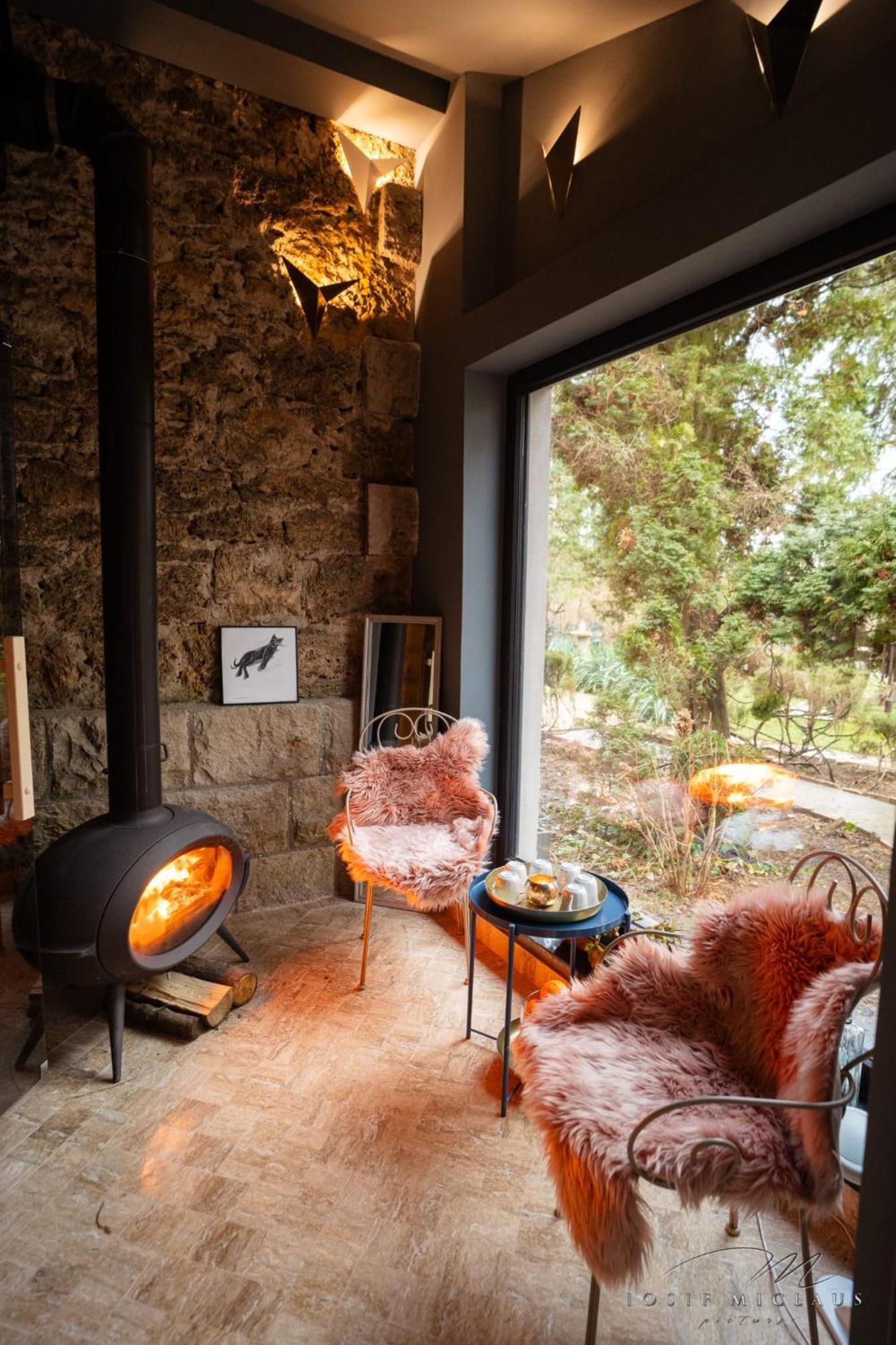 Villa Castelul Maria Banpotoc Εξωτερικό φωτογραφία