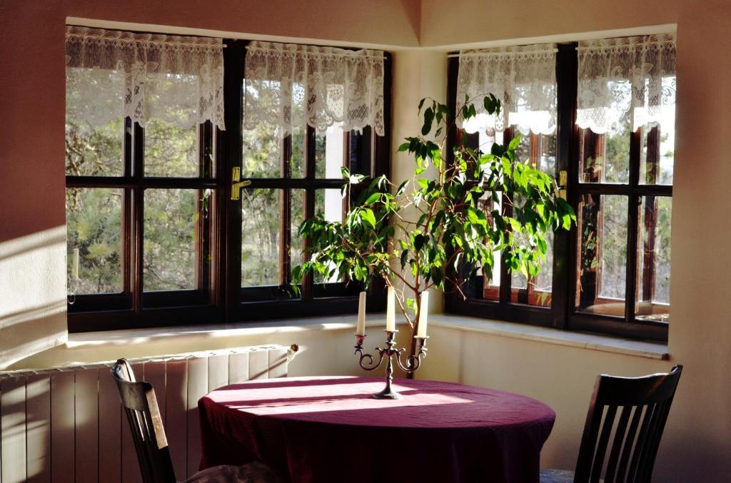 Villa Castelul Maria Banpotoc Δωμάτιο φωτογραφία