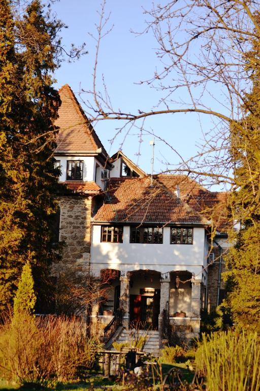 Villa Castelul Maria Banpotoc Εξωτερικό φωτογραφία